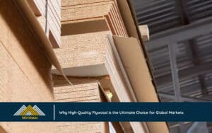 Why High-Quality Plywood is the Ultimate Choice for Global Markets