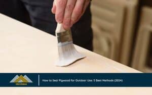 How to Seal Plywood for Outdoor Use: 5 Best Methods (2024)