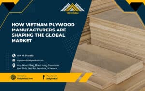 How Vietnam Plywood Manufacturers are Shaping the Global Market