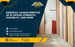 Essential Characteristics of Plywood: Strength, Flexibility, and More