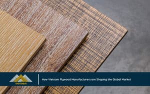 How Vietnam Plywood Manufacturers are Shaping the Global Market