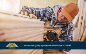 Sourcing High-Quality Plywood from Vietnam: What to Consider
