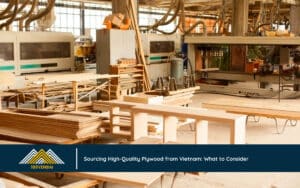 Sourcing High-Quality Plywood from Vietnam: What to Consider