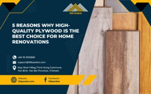 5 Reasons Why High-Quality Plywood is the Best Choice for Home Renovations