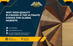 Why High-Quality Plywood is the Ultimate Choice for Global Markets