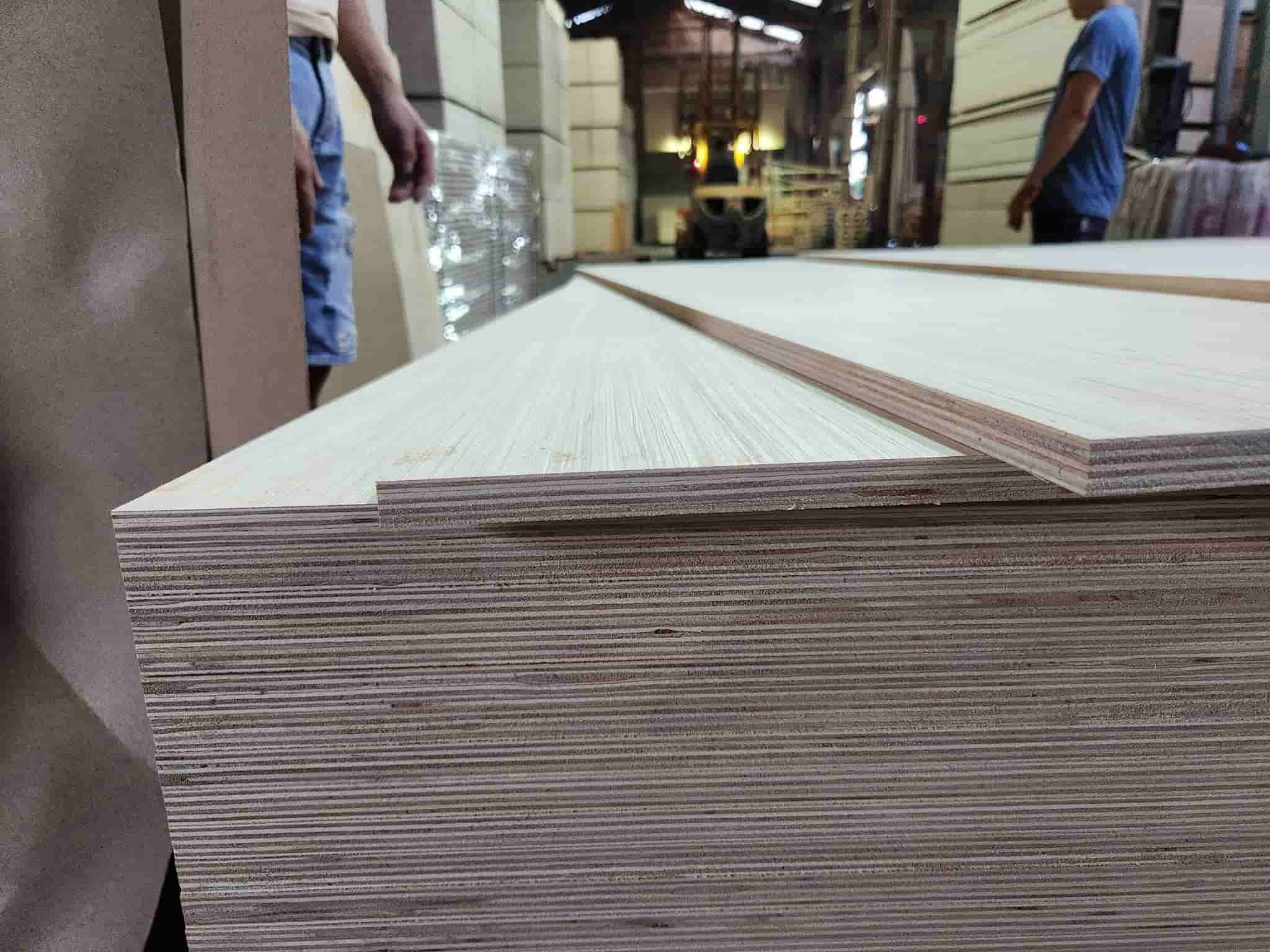 Vietnam Plywood Manufacturers