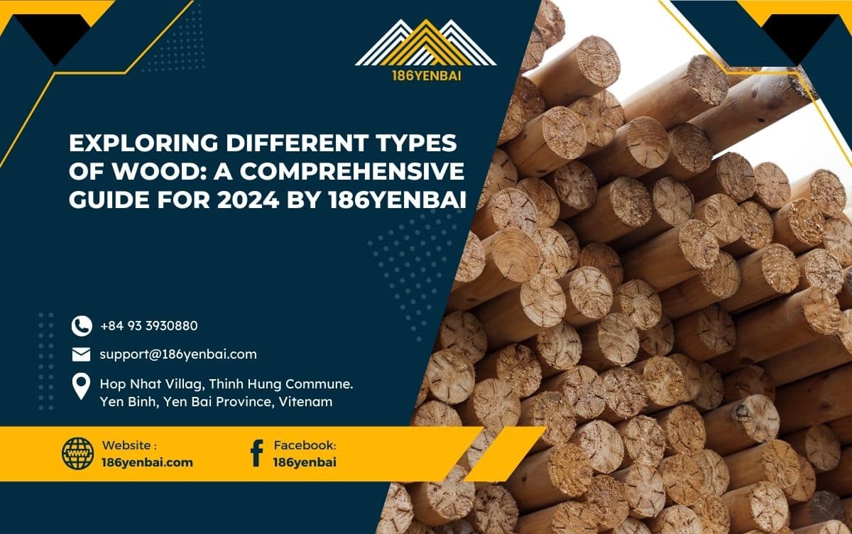 Exploring Different Types of Wood: A Comprehensive Guide for 2024 by 186Yenbai