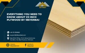 Everything You Need to Know About 1/2 Inch Plywood by 186Yenbai