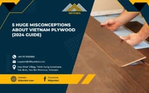 5 Huge Misconceptions About Vietnam Plywood (2024 Guide) 1 5 Huge Misconceptions About Vietnam Plywood (2024 Guide)