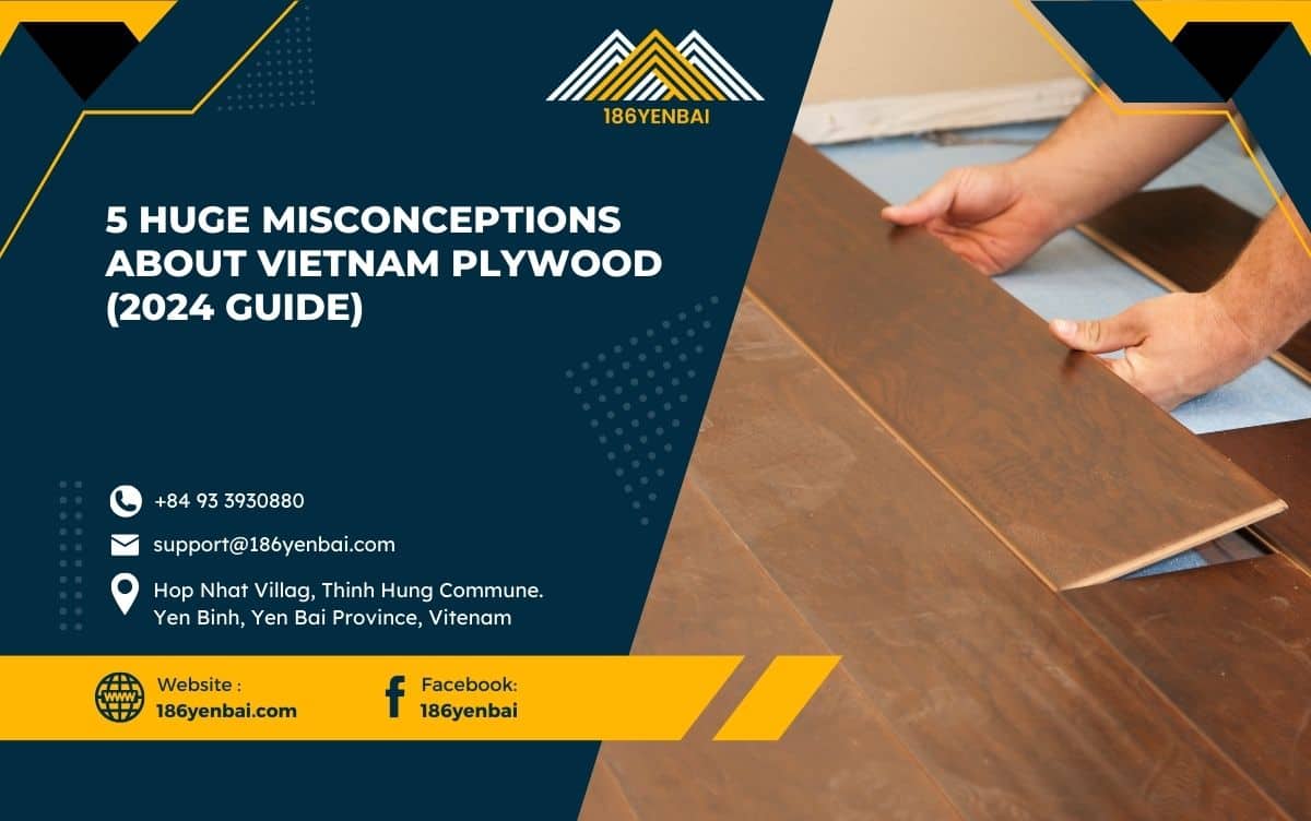 5 Huge Misconceptions About Vietnam Plywood (2024 Guide)