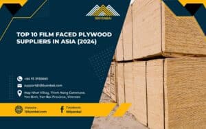 Top 10 Film Faced Plywood Suppliers in Asia (2024)