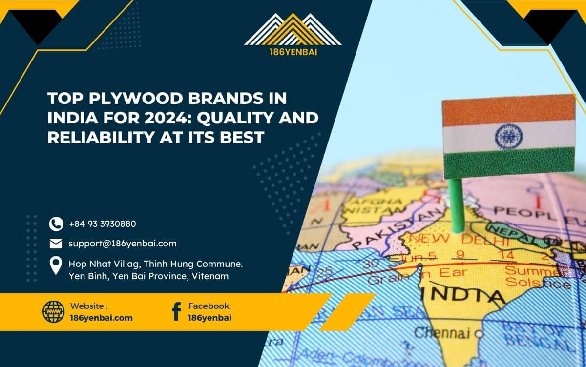 Top Plywood Brands in India for 2024: Quality and Reliability at Its Best